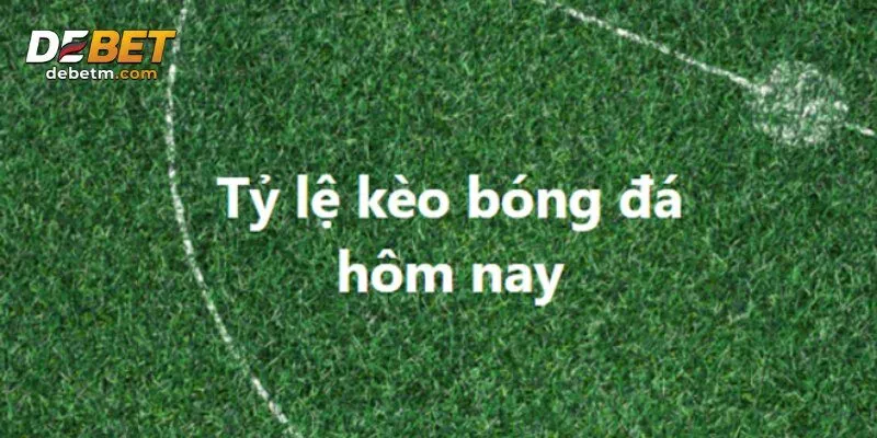 Đọc và phân tích kỹ thông tin trước khi tham gia cược